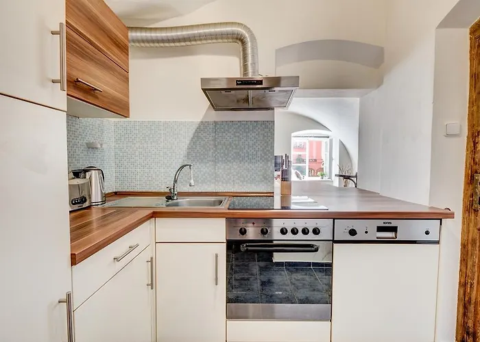 公寓 布拉格尼古拉公寓 *